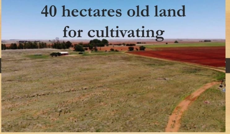 Commercial Property for Sale in Dealesville Free State